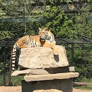 Meet your Posher, Cathy